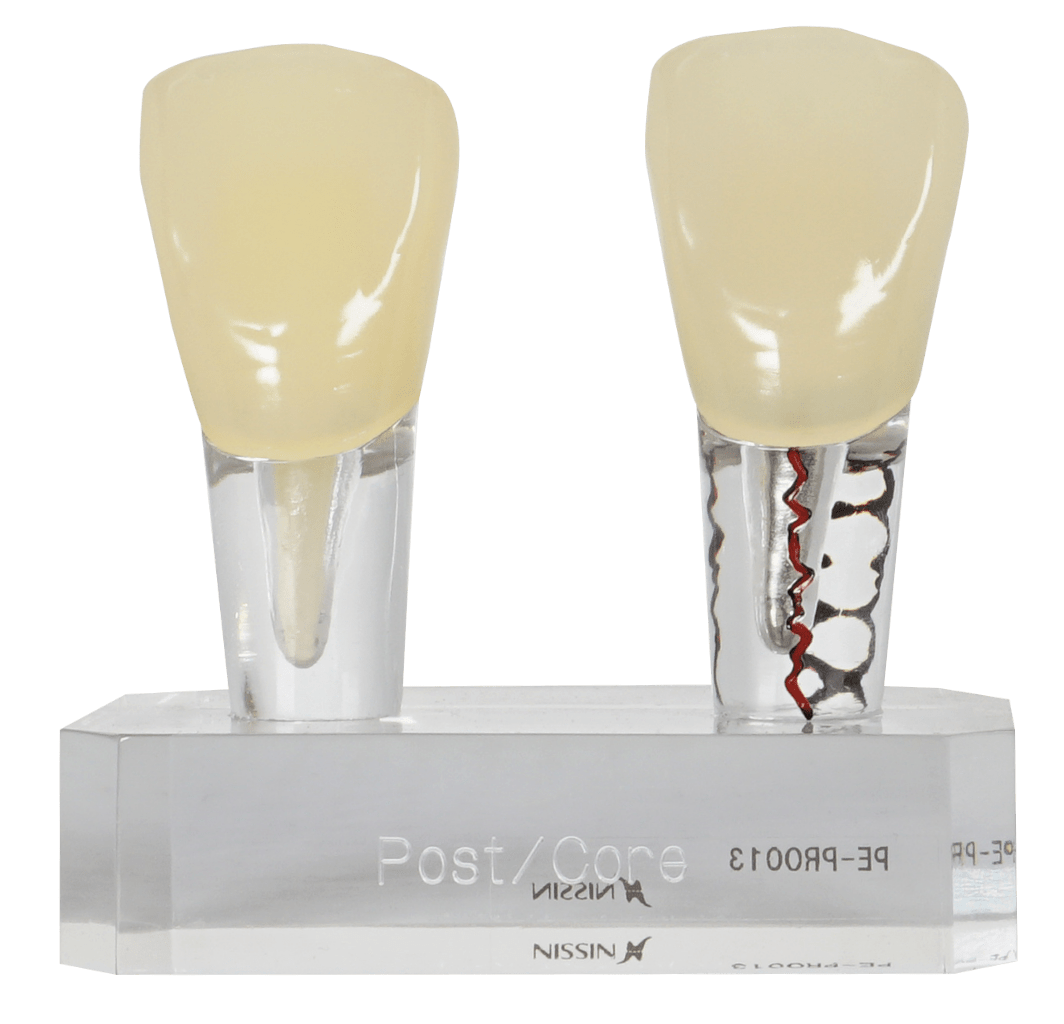 MODELO EDUCATIVO PE-PRO013