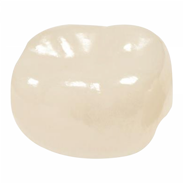 CORONAS DE ZIRCONIA NUSMILE – 2DO MOLAR INFERIOR DERECHO