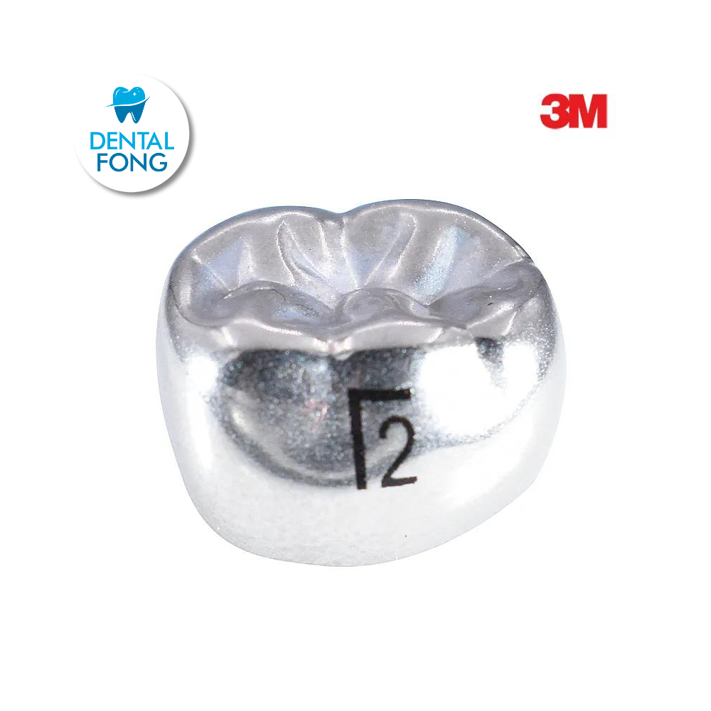 6LL2 MOLAR INFERIOR IZQUIERDO PERMANENTE