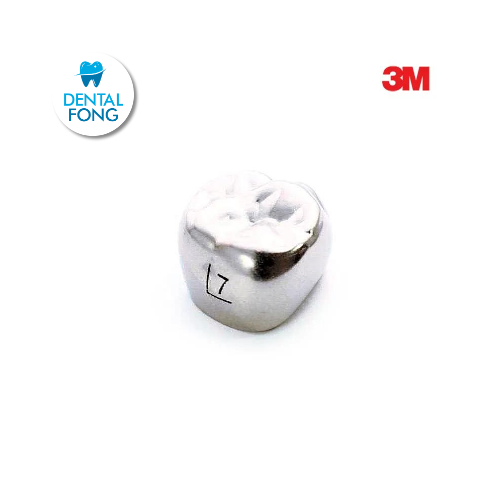 6UL7 MOLAR SUPERIOR IZQUIERDO PERMANENTE