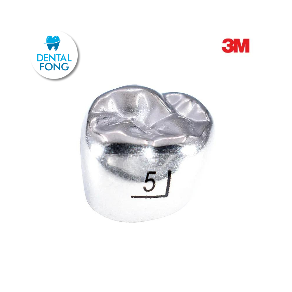 6UR5 MOLAR SUPERIOR DERECHO PERMANENTE