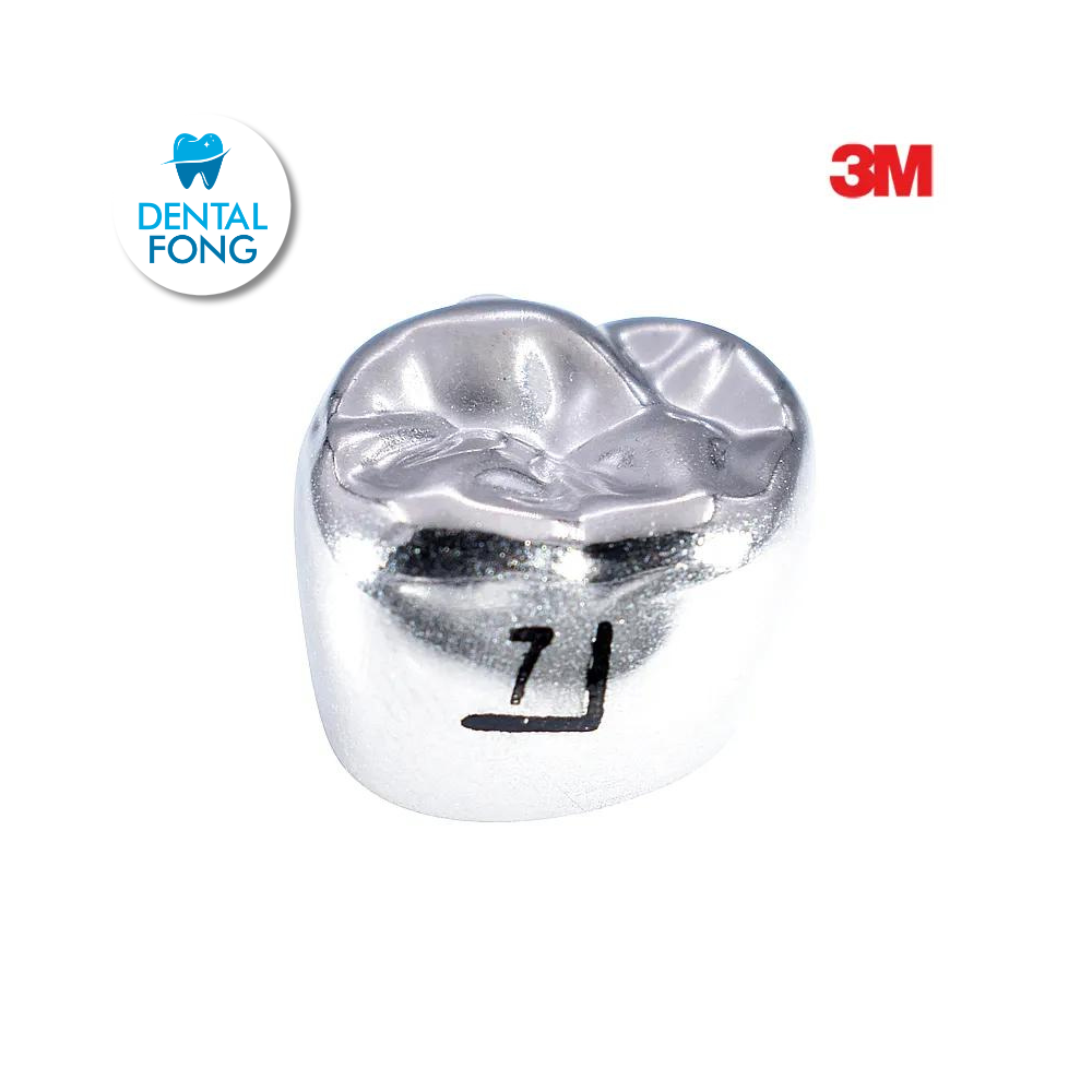 6UR7 MOLAR SUPERIOR DERECHO PERMANENTE