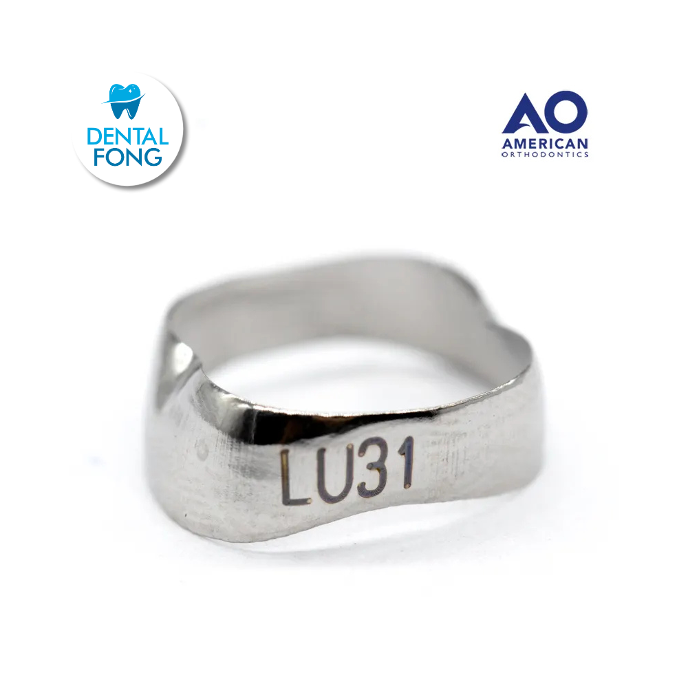 BANDA SIN TUBO SUPERIOR IZQUIERDO LU #31