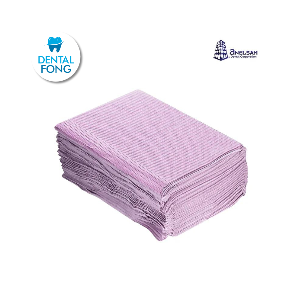 CAMPOS BOLSA CON 50 VIOLETA ANELSAM