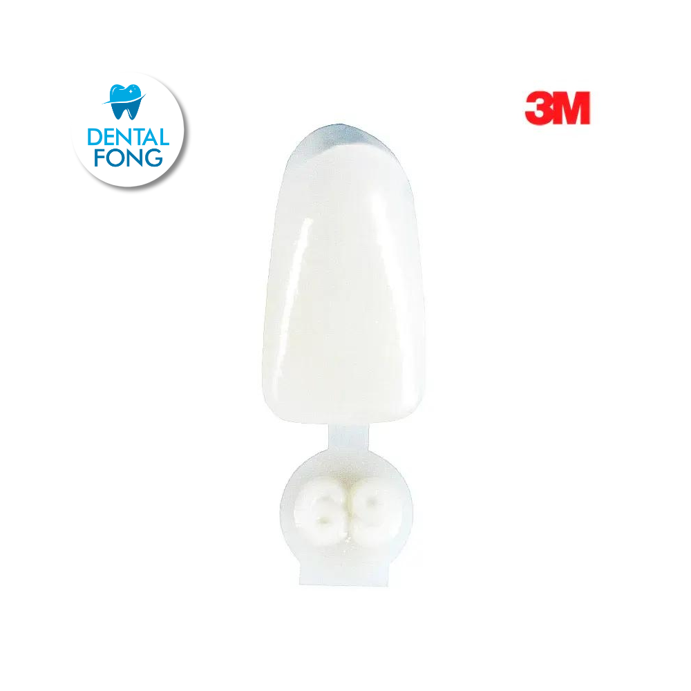 CORONA ANTERIOR INFERIOR # 69 POLY