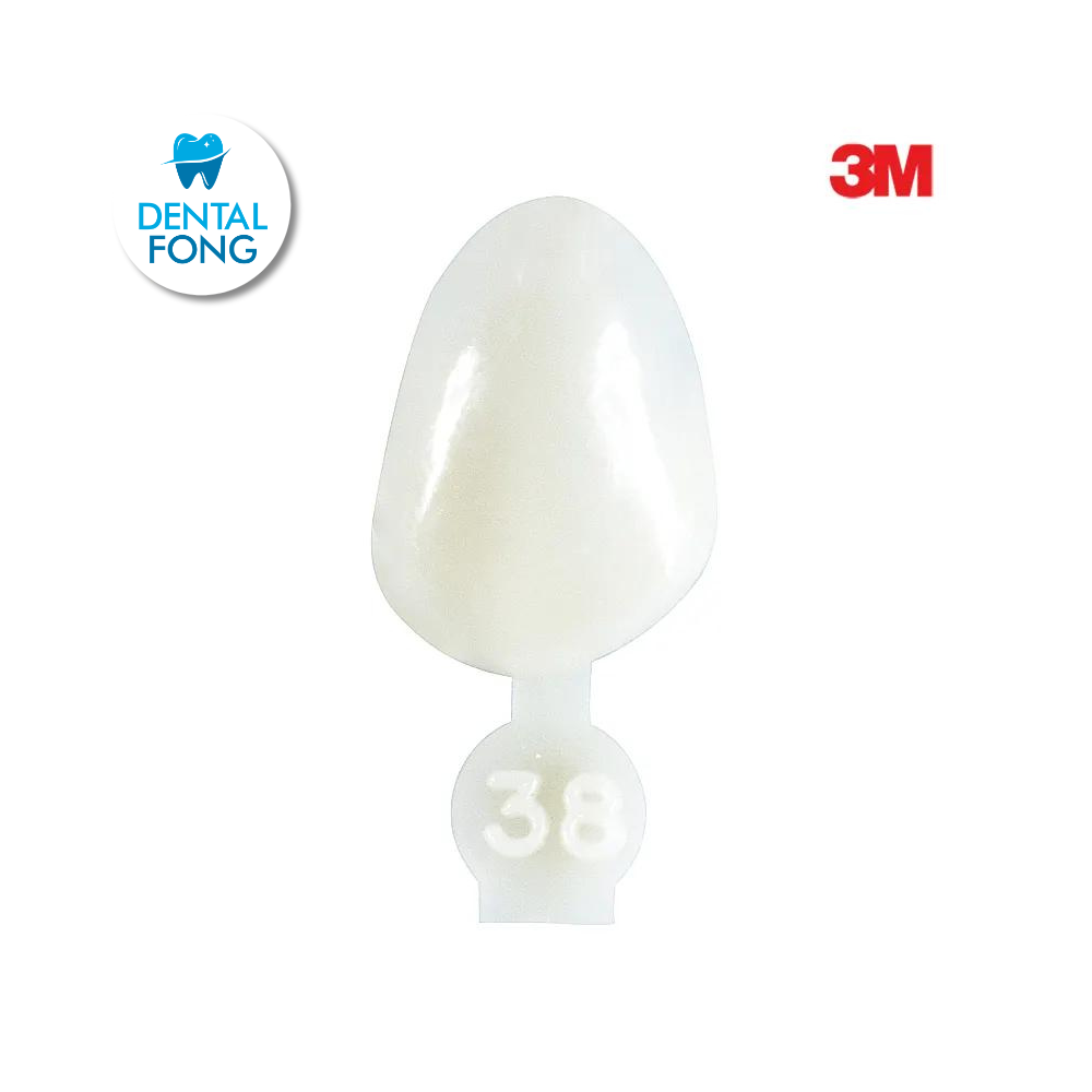 CORONA CANINO # 38 POLY