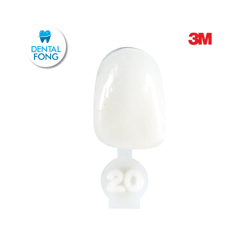 CORONA LATERAL # 20 POLY