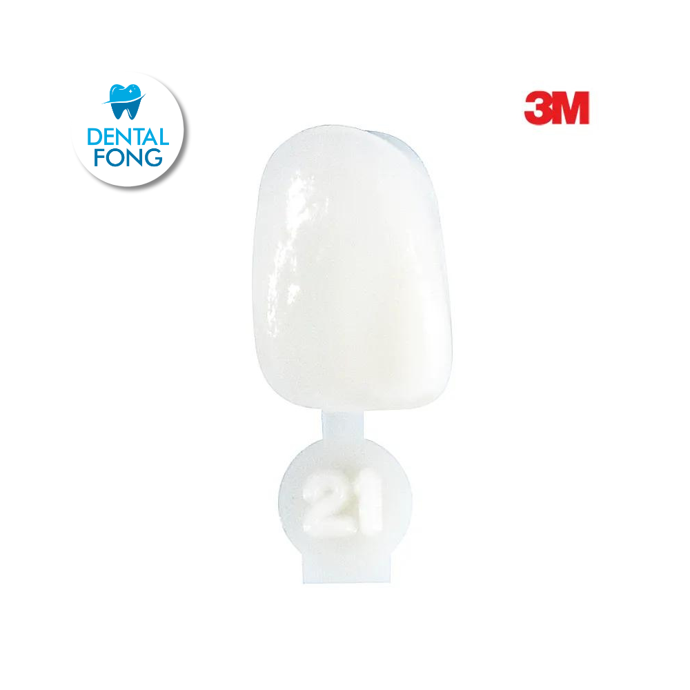 CORONA LATERAL # 21 POLY