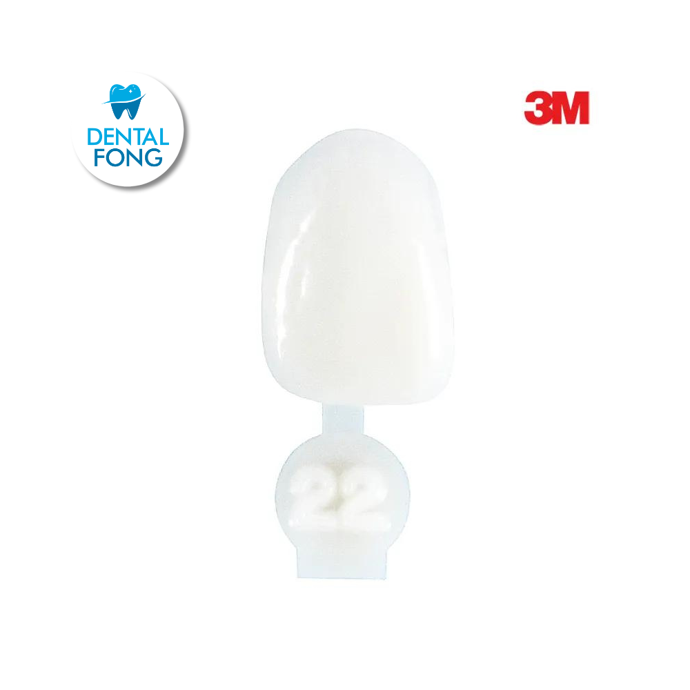 CORONA LATERAL # 22 POLY