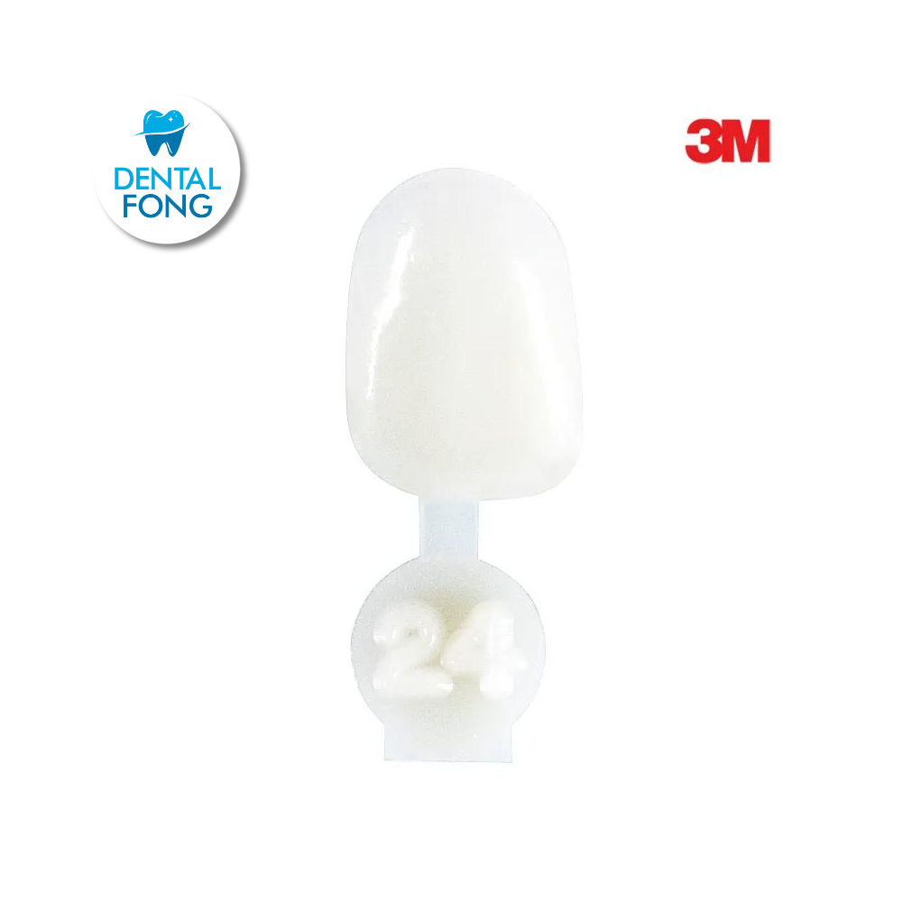 CORONA LATERAL # 24 POLY