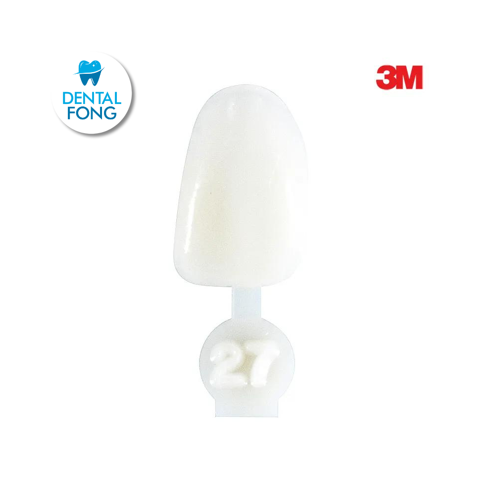 CORONA LATERAL # 27 POLY