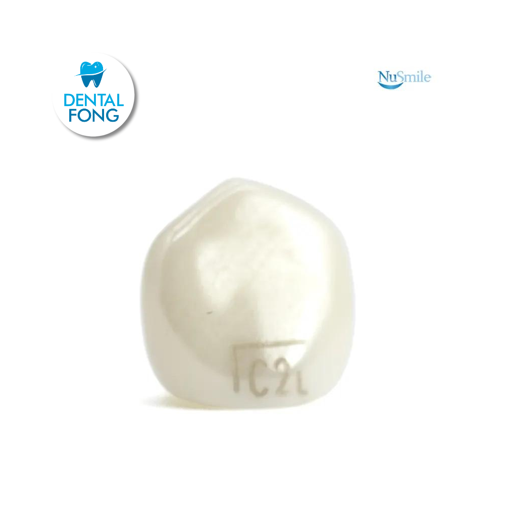 CORONA ZR CANINO-INFERIOR IZQUIERDO #2 CLARO (LC2L204L)