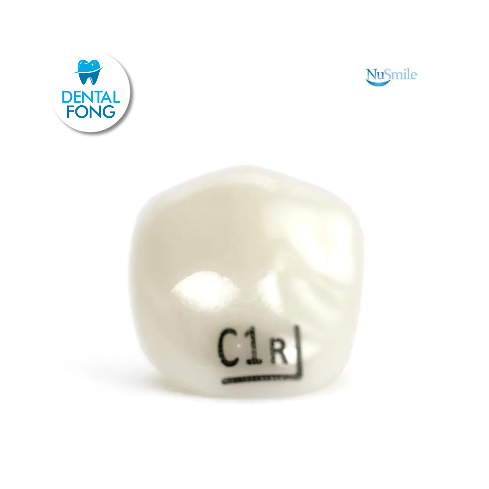 CORONA ZR CANINO SUPERIOR-DERECHO #1 CLARO (C1R204L)