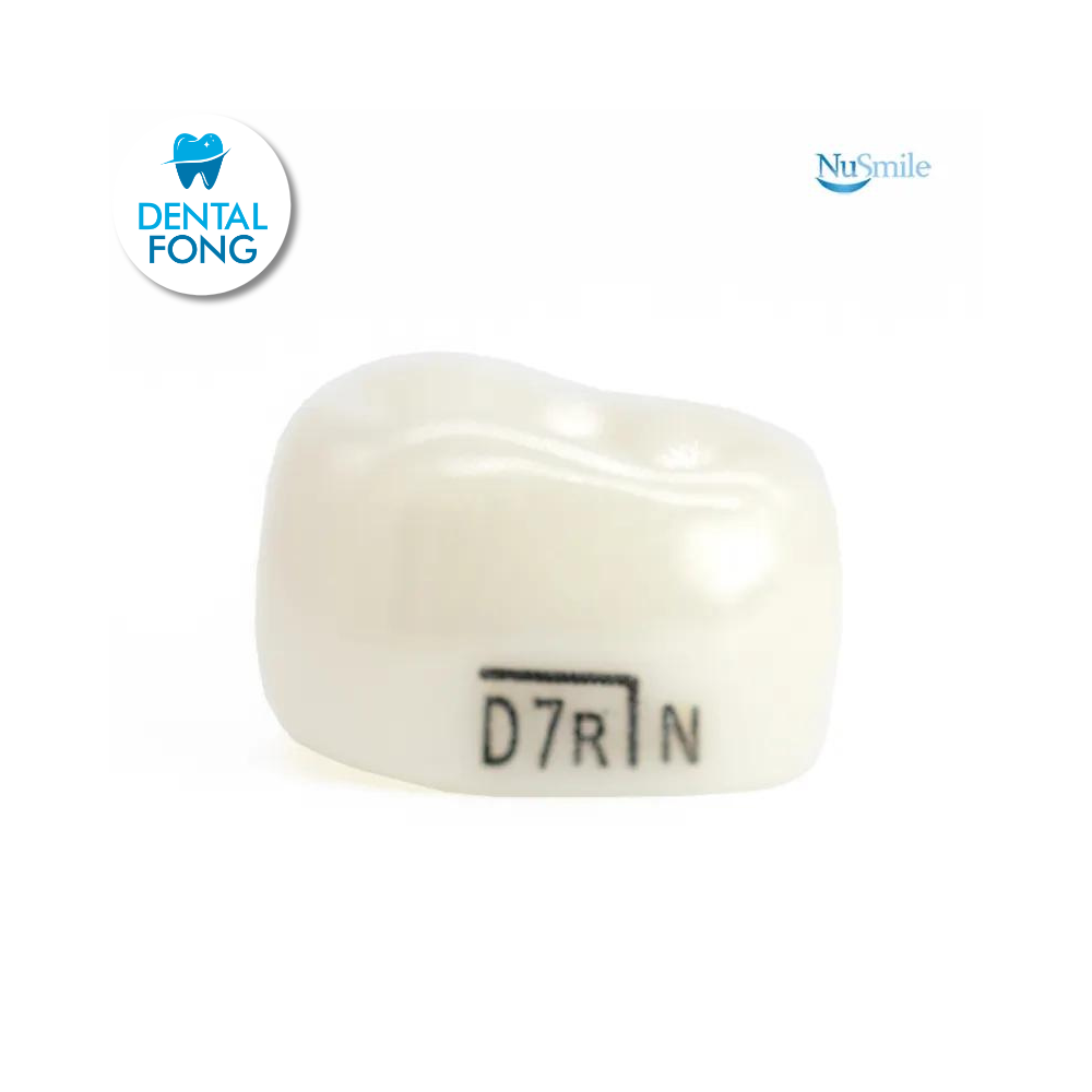 CORONA ZR INF-DER 1erMOLA TEMP#7 ANGO CLARO(DLR7207L)