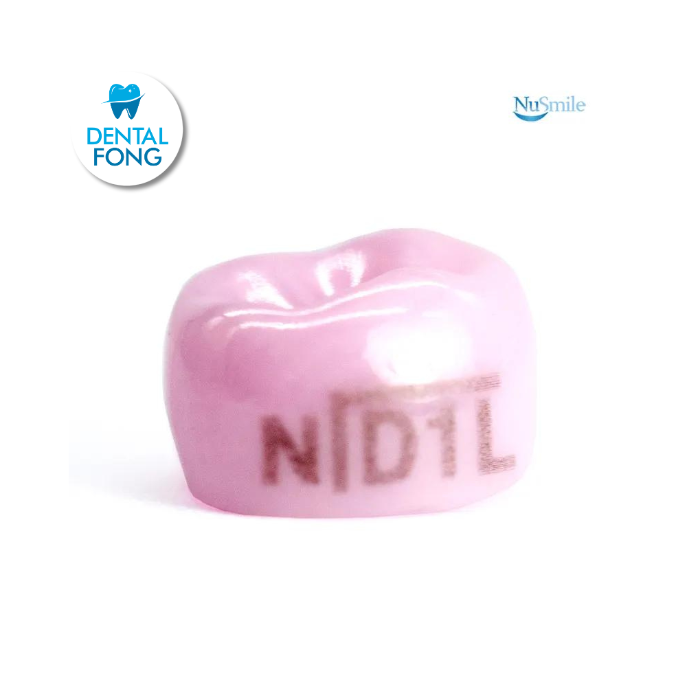 CORONA ZR INF-IZQ1erMOLA TEMP #1 ANGO PRUEB (DLL1307)