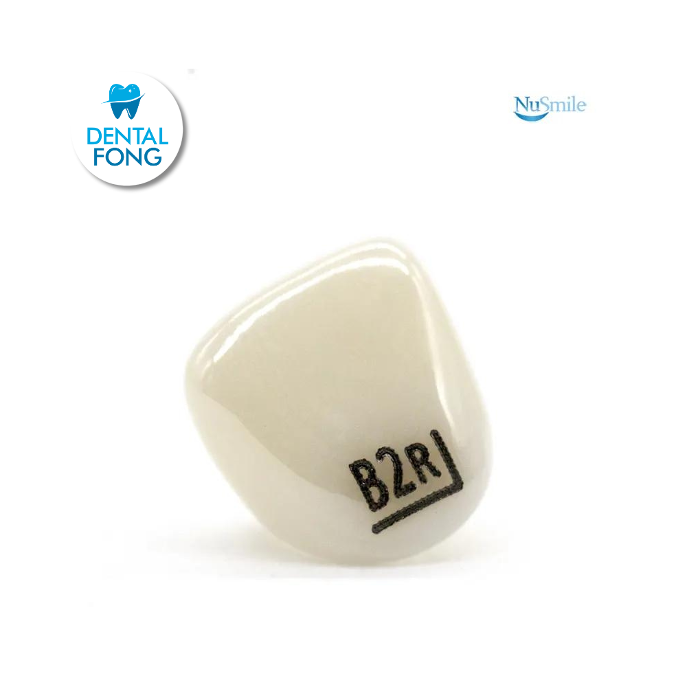 CORONA ZR LATERAL DERECHO #2 CLARO (B2R204L)