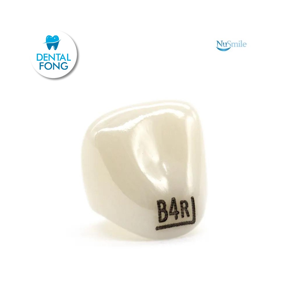 CORONA ZR LATERAL DERECHO #4 CLARO (B4R204L)