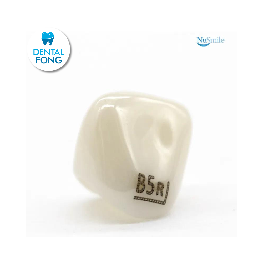 CORONA ZR LATERAL IZQUIERDO #5 CLARO (B5L204L)