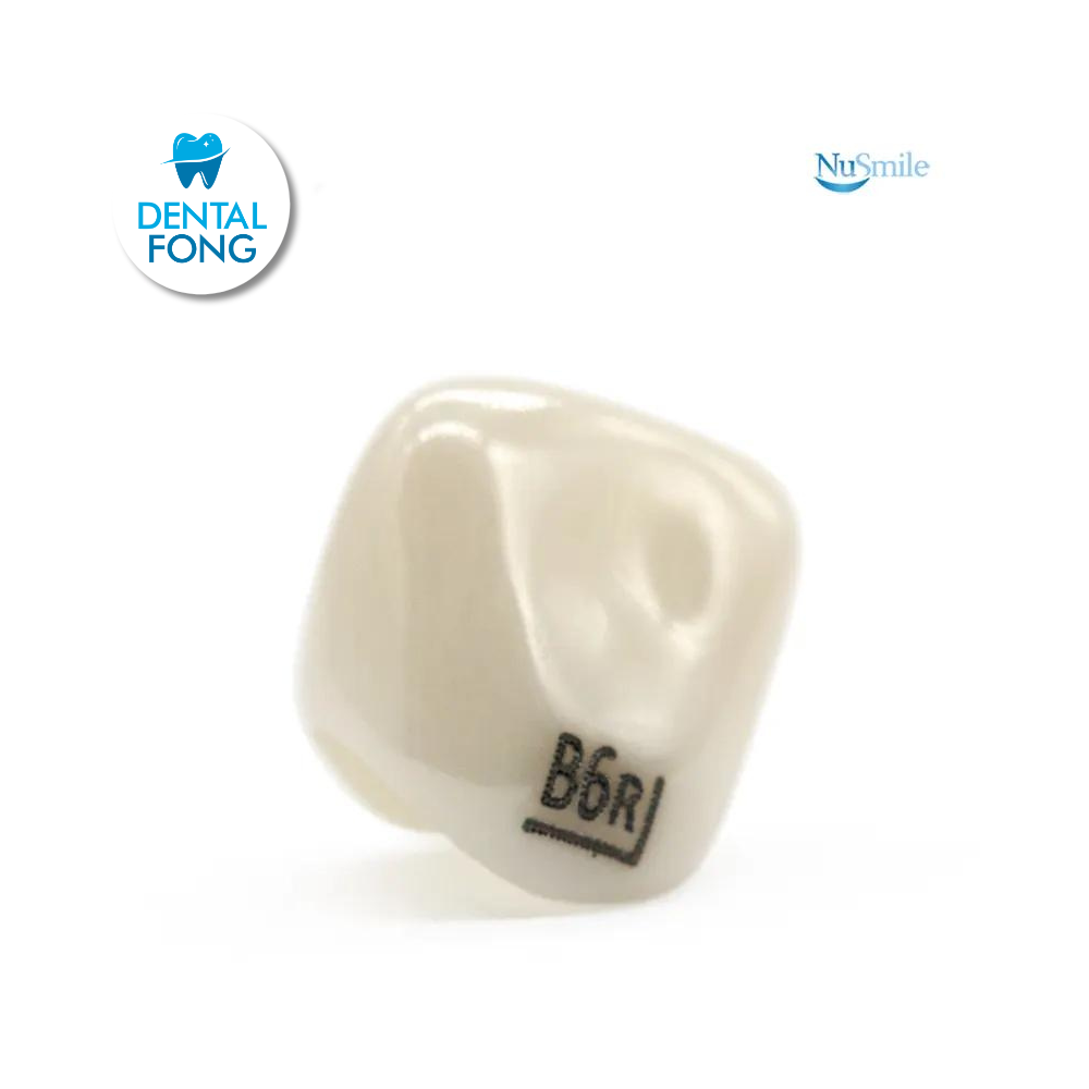 CORONA ZR LATERAL DERECHO #6 CLARO (B6R204L)