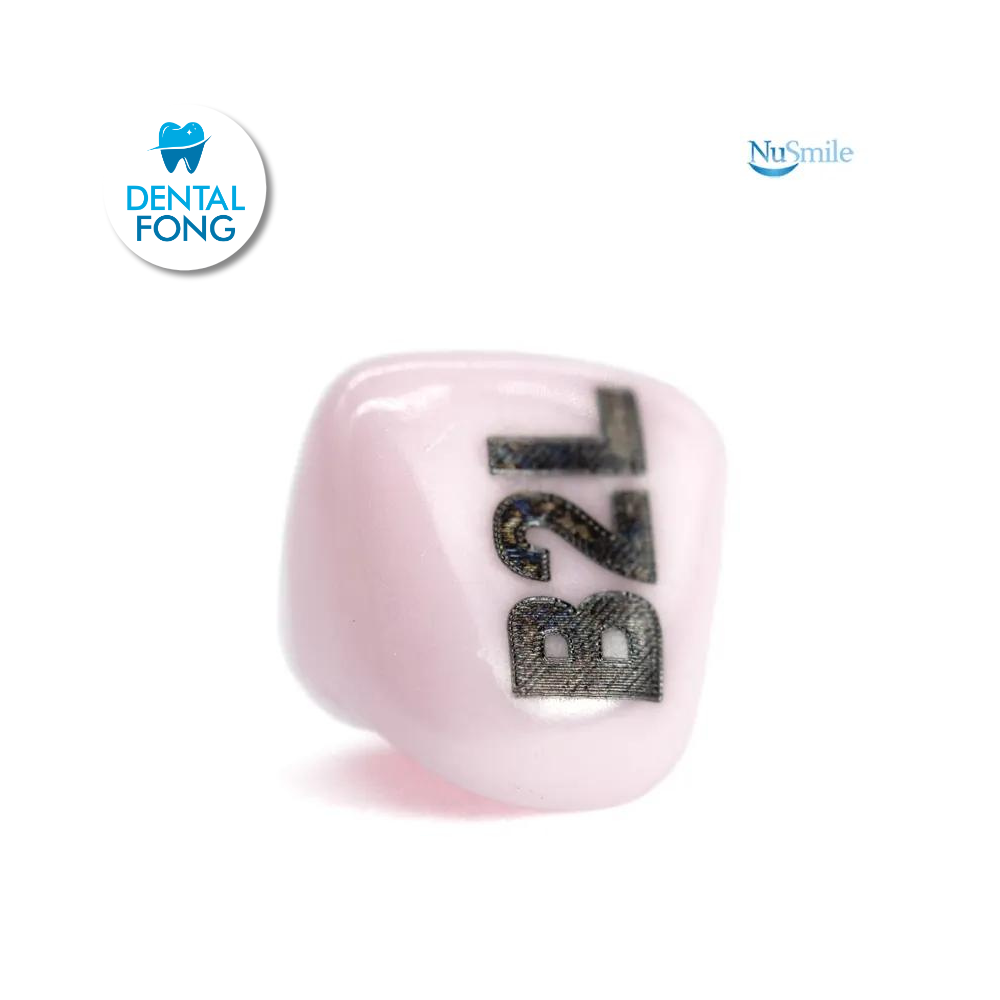 CORONA ZR LATERAL IZQUIERDO #3 DE PRUEBA (B3L304)