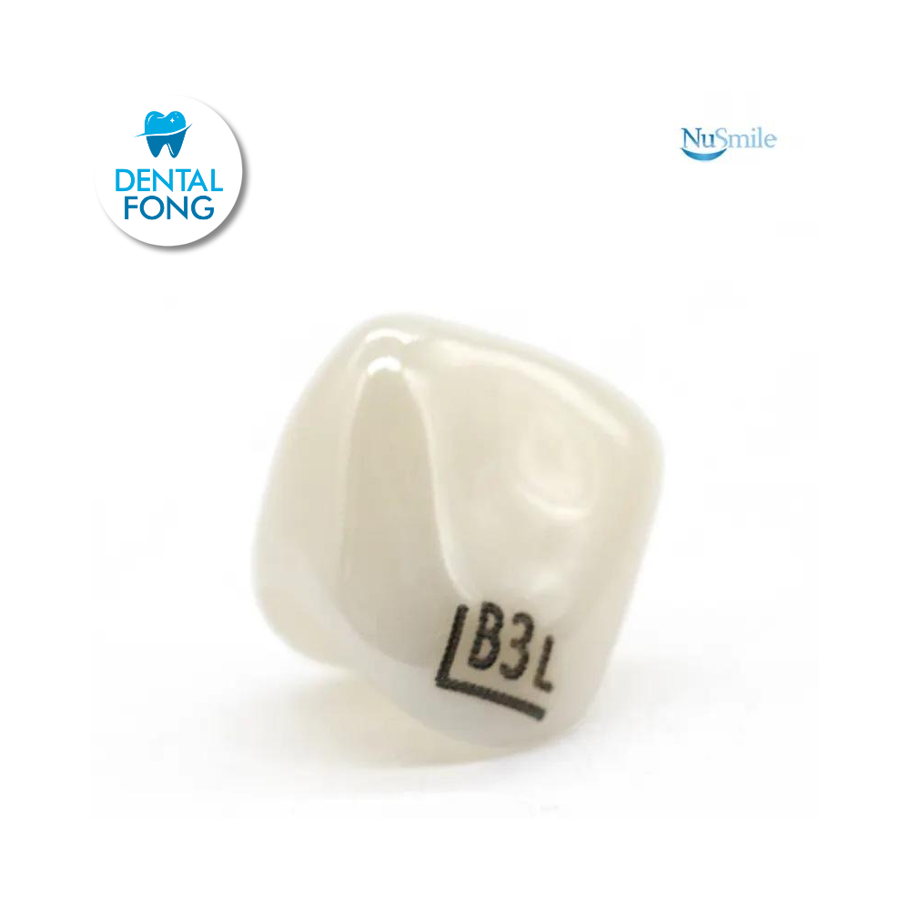 CORONA ZR LATERAL IZQUIERDO #3 CLARO (B3L204L)