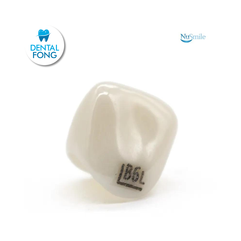 CORONA ZR LATERAL IZQUIERDO #6 CLARO (B6L204L)