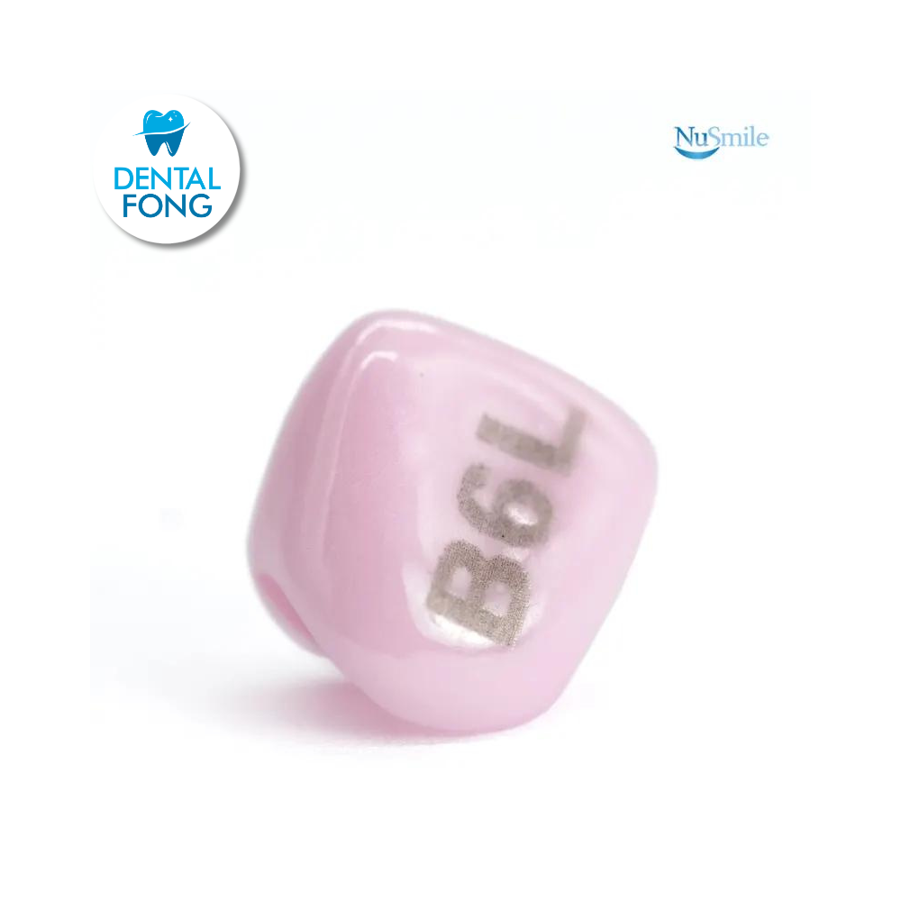 CORONA ZR LATERAL IZQUIERDO #6 DE PRUEBA (B6L304)