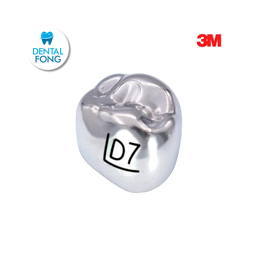 DUL7 PRIMER MOLAR SUPERIOR IZQUIERDO