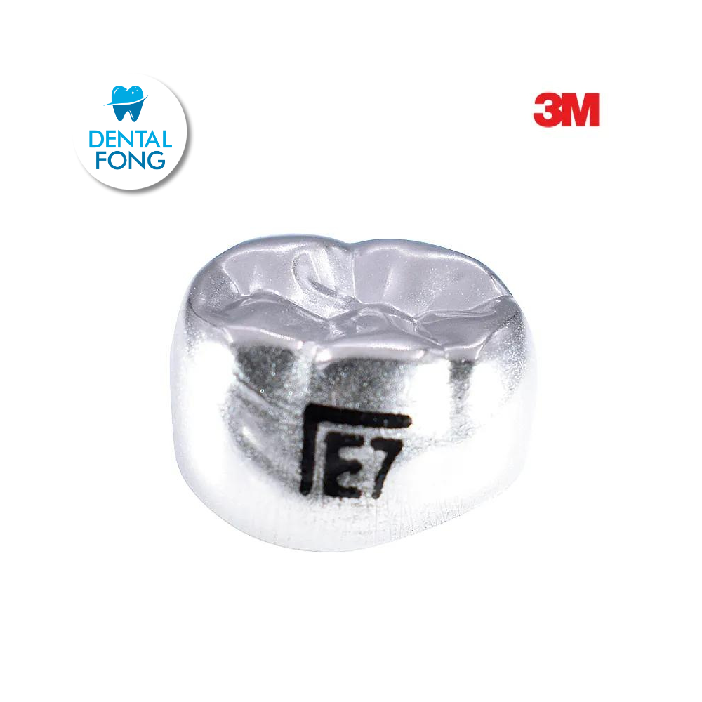 ELL7 SEGUNDO MOLAR INFERIOR IZQUIERDO