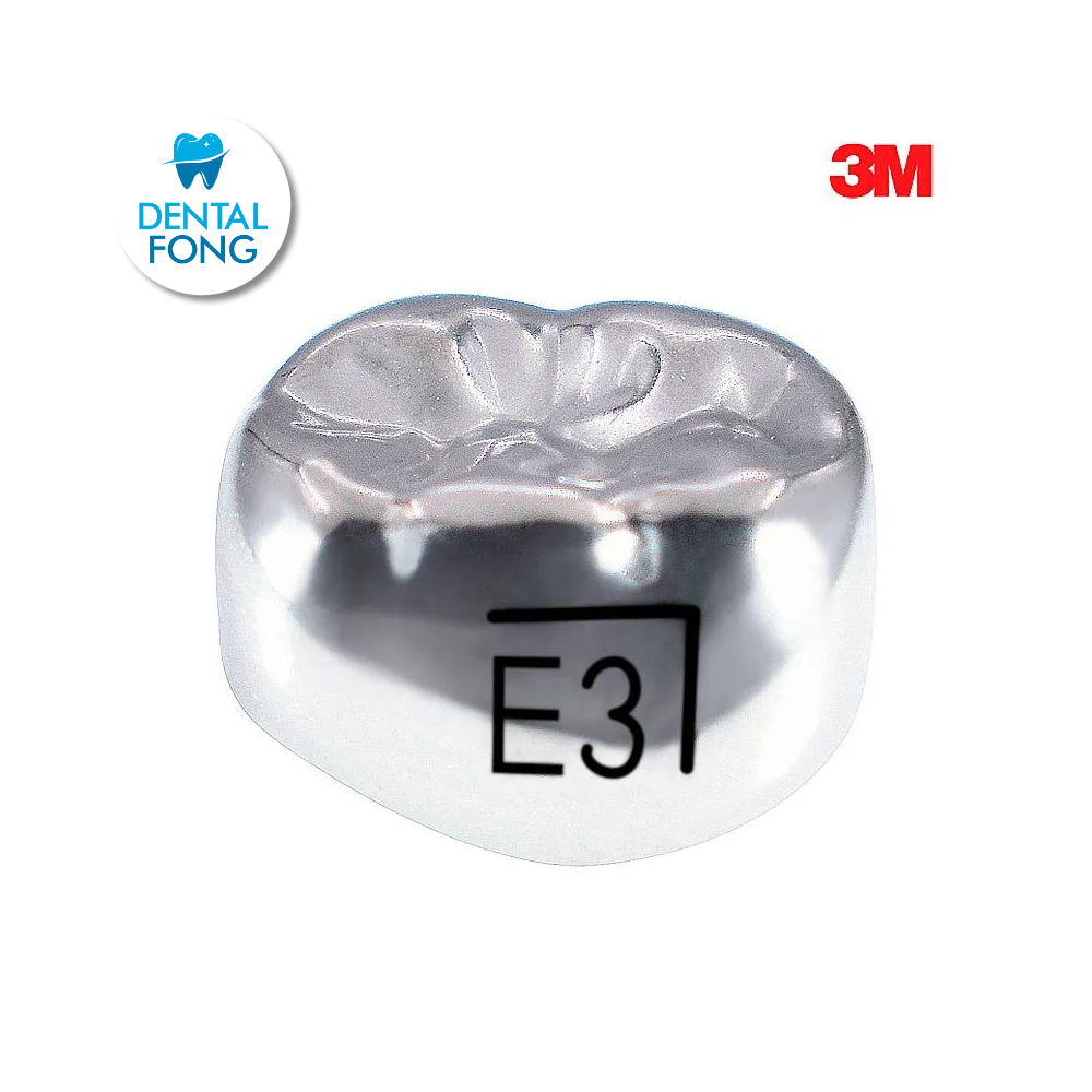 ELR3 SEGUNDO MOLAR INFERIOR DERECHO