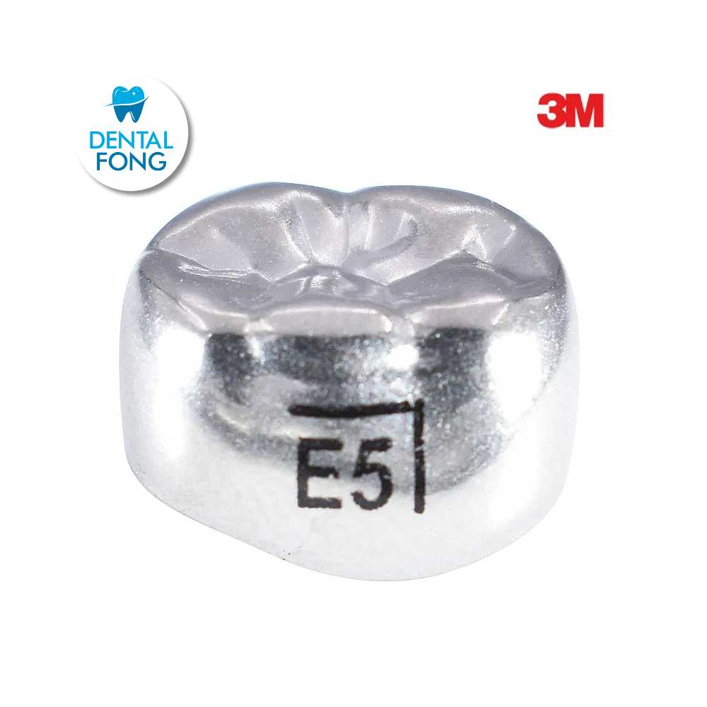 ELR5 SEGUNDO MOLAR INFERIOR DERECHO