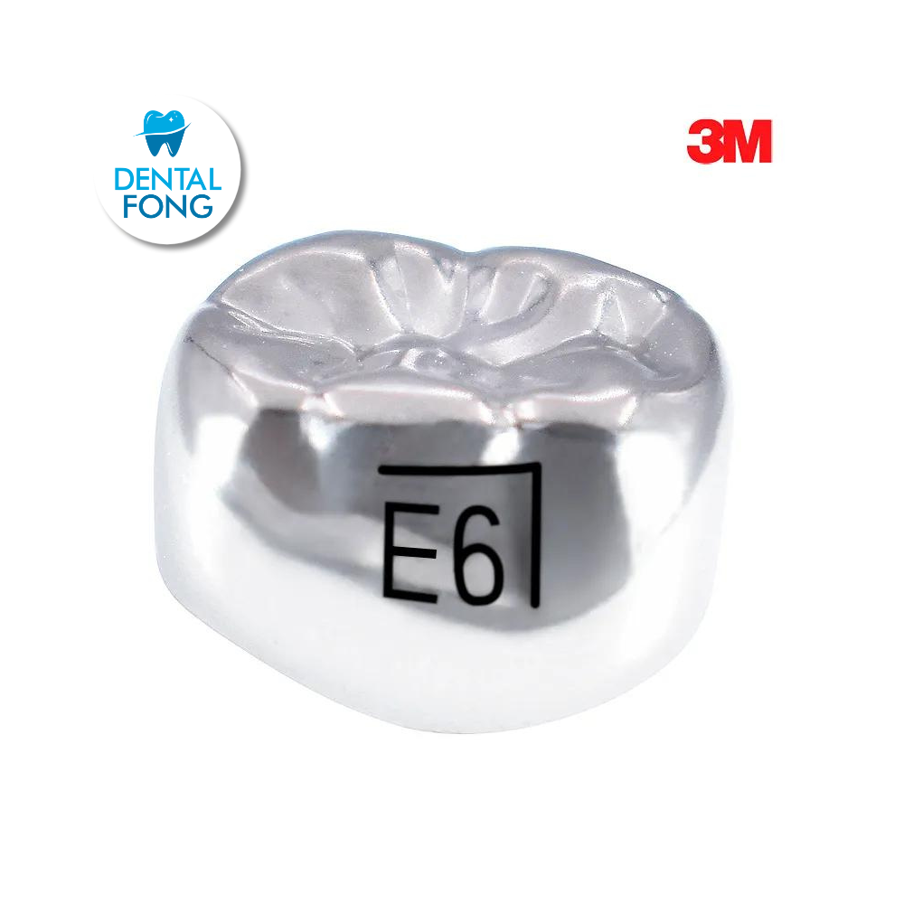 ELR6 SEGUNDO MOLAR INFERIOR DERECHO