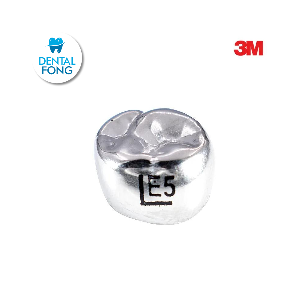 EUL5 SEGUNDO MOLAR SUPERIOR IZQUIERDO