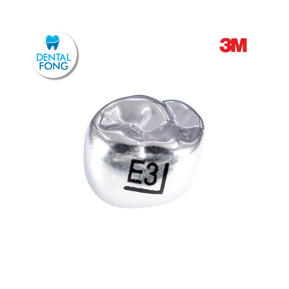 EUR3 SEGUNDO MOLAR SUPERIOR DERECHO