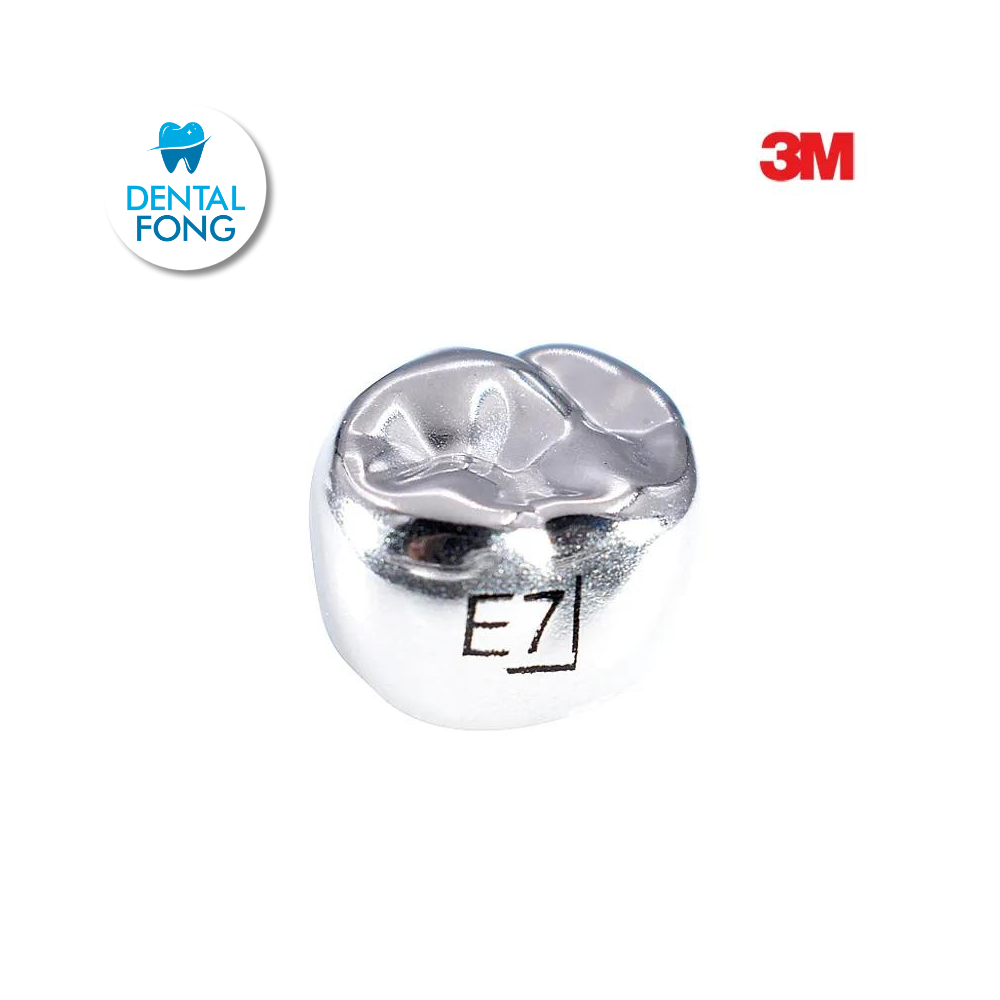 EUR7 SEGUNDO MOLAR SUPERIOR DERECHO