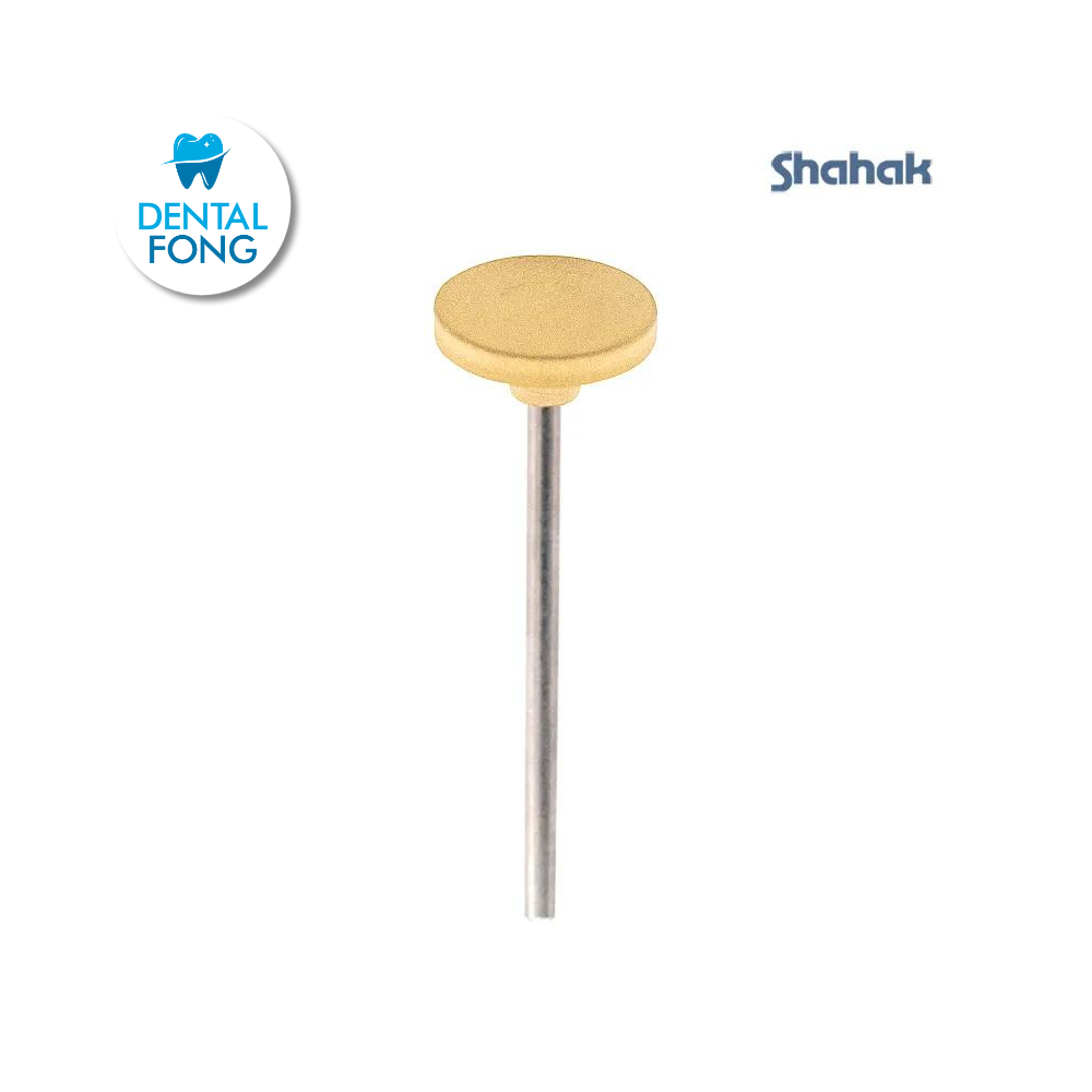 PIEDRA MONTADºA 1020P 2mm CARRO SHAHAK