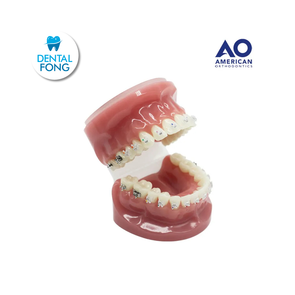 P/E TIPODONTO C/BRACKET CLEAR EMPOWER