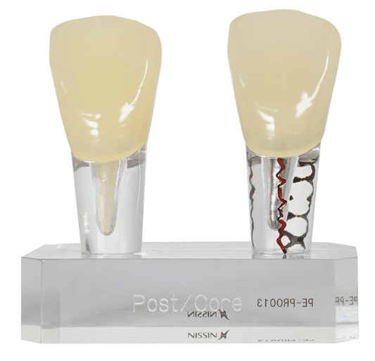 MODELO EDUCATIVO PE-PRO013
