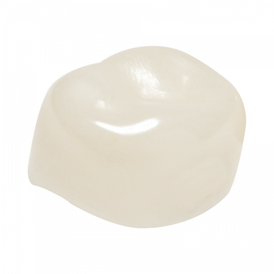 Molar inferior izquierdo Nusmile- 1er. molar coronas de zirconia