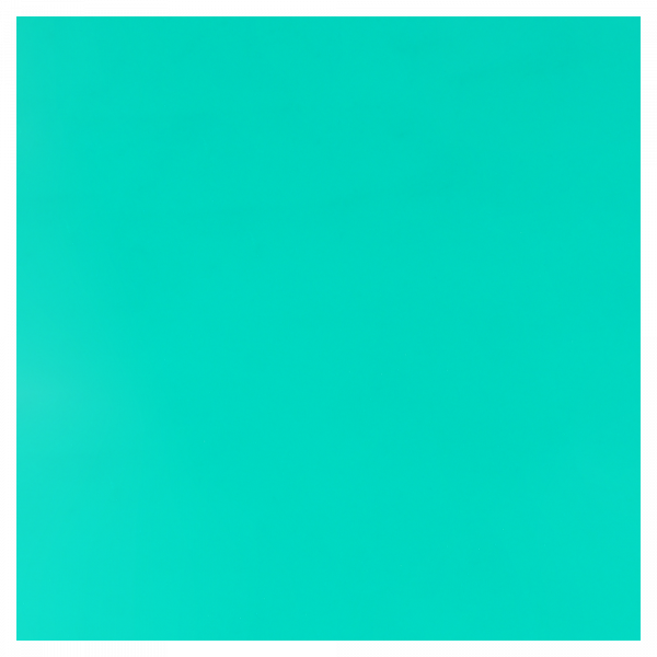 GOMA DIQUE BLOSSOM 5X5″ C/52