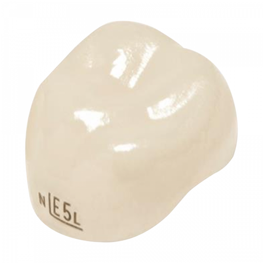 Coronas de zirconia Nusmile -2do molar inferior izquierdo