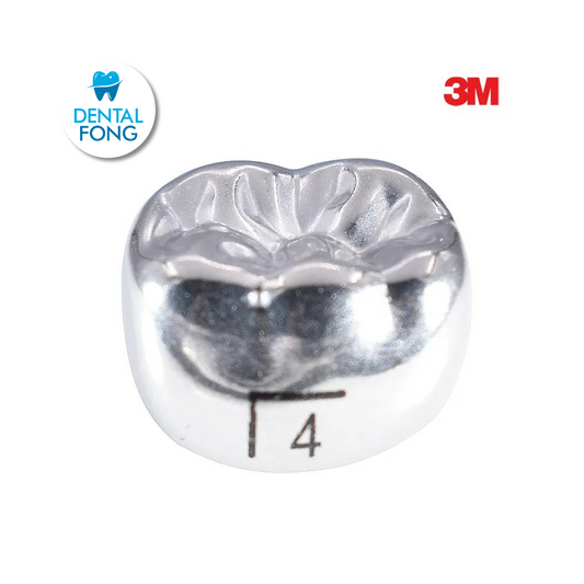 6LL4 MOLAR INFERIOR IZQUIERDO PERMANENTE