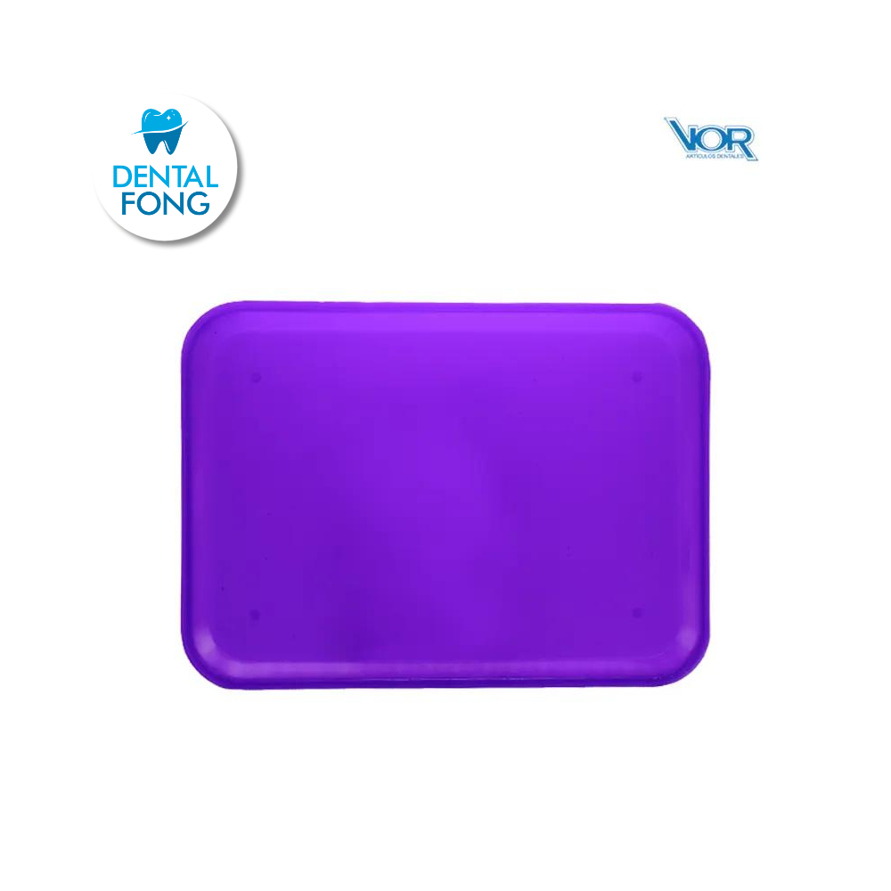 CHAROLA PARA INSTRUMENTAL LISA MORADA (VOR)