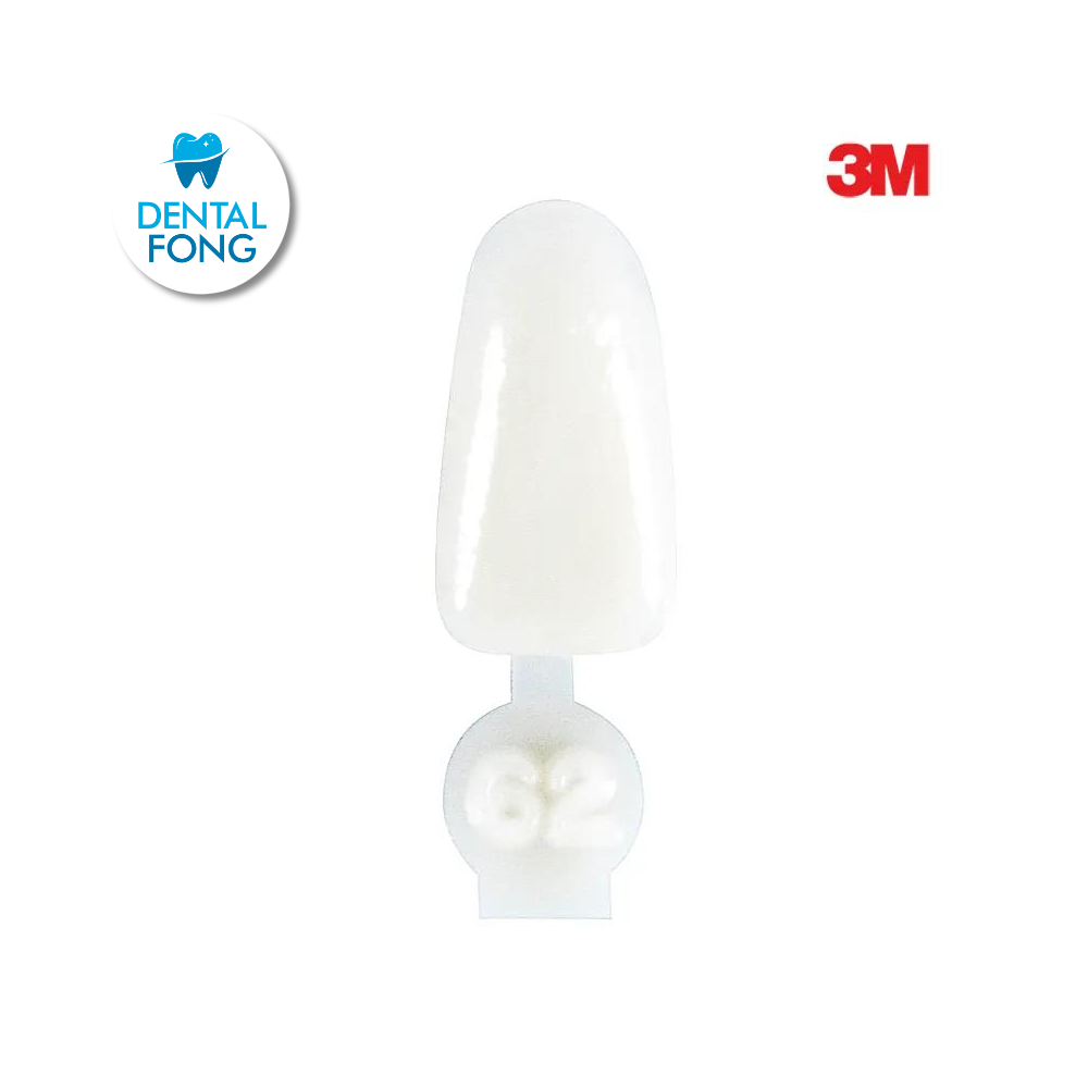 CORONA ANTERIOR INFERIOR # 62 POLY