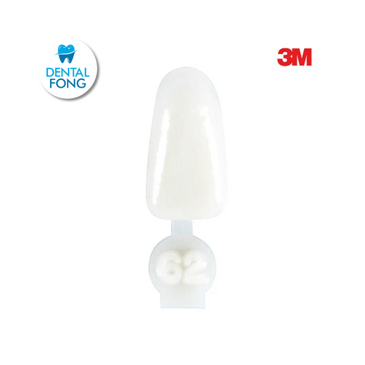 CORONA ANTERIOR INFERIOR # 62 POLY