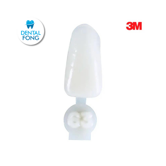 CORONA ANTERIOR INFERIOR # 63 POLY