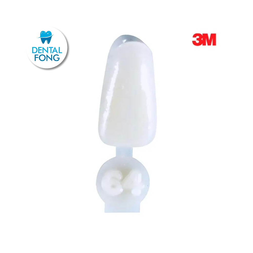 CORONA ANTERIOR INFERIOR # 64 POLY