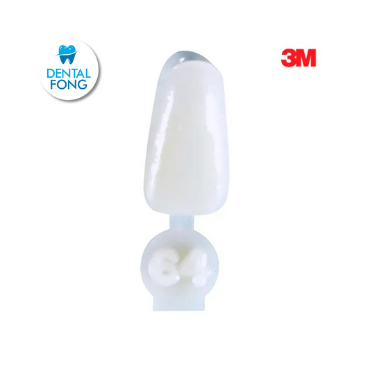 CORONA ANTERIOR INFERIOR # 64 POLY