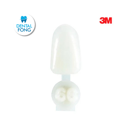 CORONA ANTERIOR INFERIOR # 66 POLY