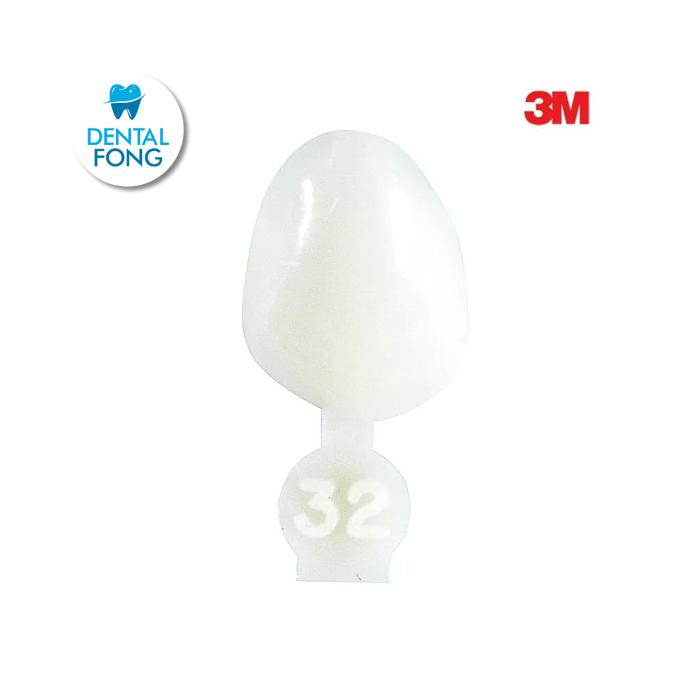 CORONA CANINO # 32 POLY